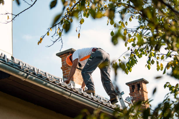Best Storm Damage Roof Repair  in Benwood, WV