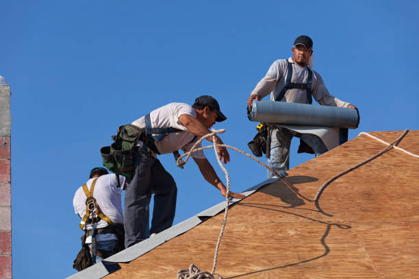 Best Roof Maintenance Services  in Benwood, WV
