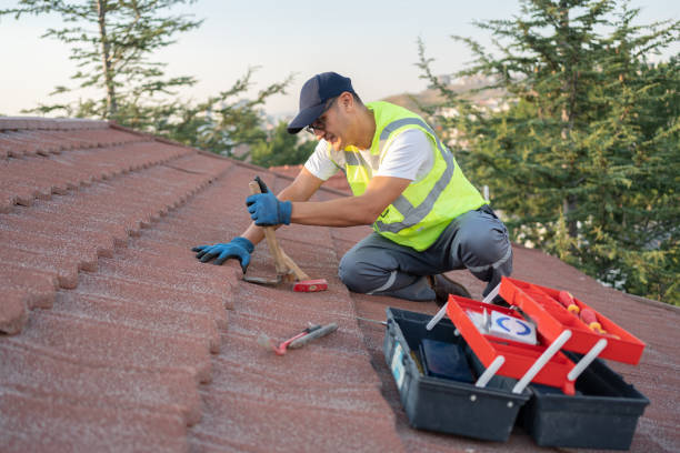 Best Flat Roof Repair Services  in Benwood, WV